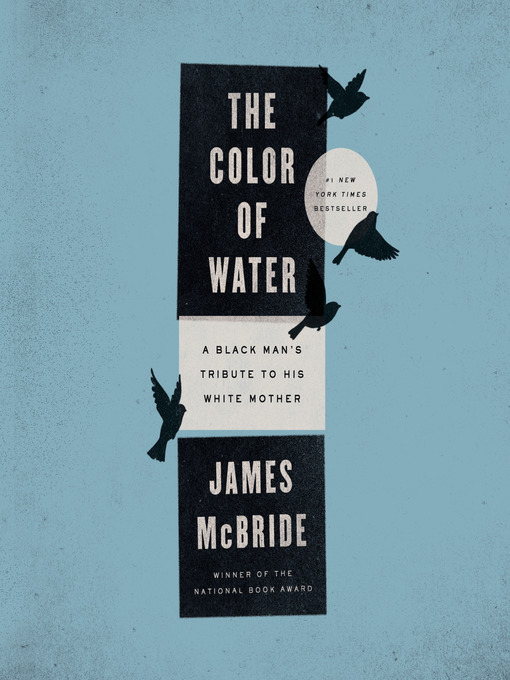 The Theme Of Childhood In James Mcbrides The Color Of Water